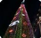 עץ חג המולד ביפו